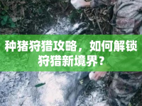 種豬狩獵攻略，如何解鎖狩獵新境界？