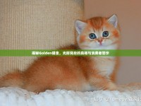 揭秘Golden貓舍，光鮮背后的真相與消費(fèi)者警示
