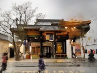 蚌仙子技能如何成為夢幻手游中的守護(hù)神？