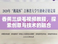 香蕉三級毛視頻教程，探索創(chuàng)意與技術(shù)的融合