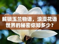 解鎖玉蘭物語，浪漫花語世界的秘密你知多少？