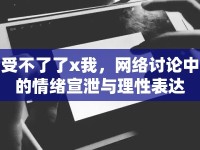 受不了了x我，網(wǎng)絡(luò)討論中的情緒宣泄與理性表達(dá)
