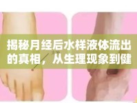 揭秘月經(jīng)后水樣液體流出的真相，從生理現(xiàn)象到健康關(guān)懷