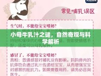 小母牛乳汁之謎，自然奇觀與科學解析