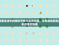 探索生活中的微妙平衡與自然韻律，從弄進(jìn)去到流出來的奇妙旅程