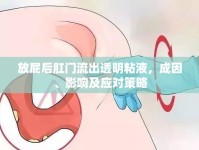 放屁后肛門流出透明粘液，成因、影響及應(yīng)對策略