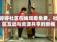 婷婷社區(qū)在線觀看免費，社區(qū)互動與資源共享的新模式