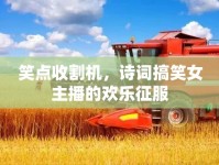 笑點(diǎn)收割機(jī)，詩詞搞笑女主播的歡樂征服