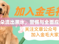金毛耳朵流出黑水，警惕與全面應對指南