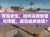 荒島求生，如何運(yùn)用智慧與技能，成功逃脫絕境？