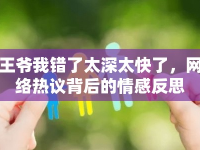 王爺我錯了太深太快了，網(wǎng)絡熱議背后的情感反思