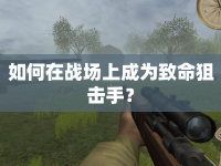 如何在戰(zhàn)場上成為致命狙擊手？
