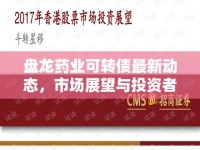 盤龍藥業(yè)可轉(zhuǎn)債最新動(dòng)態(tài)，市場(chǎng)展望與投資者關(guān)注點(diǎn)深度解析