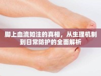 腳上血流如注的真相，從生理機(jī)制到日常防護(hù)的全面解析