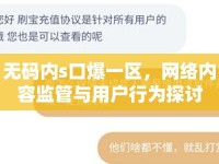 無碼內(nèi)s口爆一區(qū)，網(wǎng)絡(luò)內(nèi)容監(jiān)管與用戶行為探討