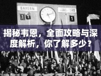 揭秘韋恩，全面攻略與深度解析，你了解多少？