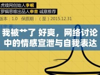 我被艸了 好爽，網(wǎng)絡(luò)討論中的情感宣泄與自我表達(dá)