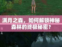 滿月之森，如何解鎖神秘森林的終極秘密？