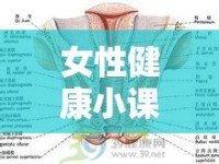 女性健康小課堂，揭秘白帶流出的正?，F(xiàn)象