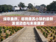 綠意盎然，臨猗康養(yǎng)小鎮(zhèn)的最新發(fā)展動(dòng)態(tài)與未來展望