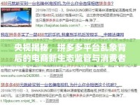央視揭秘，拼多多平臺亂象背后的電商新生態(tài)監(jiān)管與消費(fèi)者權(quán)益保護(hù)