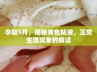 孕期5月，揭秘黃色粘液，正常生理現(xiàn)象的解讀
