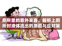 廁所里的意外來客，解析上廁所時液體流出的原因與應(yīng)對策略
