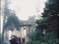 傳奇世界手游，羽毛藏著怎樣的奧秘與奇妙之旅？