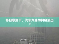 冬日寒流下，汽車汽油為何會流出？