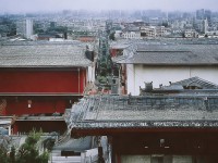 仙境傳說(shuō)手游，吟游詩(shī)人如何譜寫動(dòng)人旋律與詩(shī)篇？