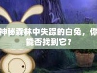 神秘森林中失蹤的白兔，你能否找到它？