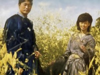 69級平民玩家如何打造超性價(jià)比神武寶寶？