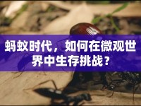 螞蟻時(shí)代，如何在微觀世界中生存挑戰(zhàn)？