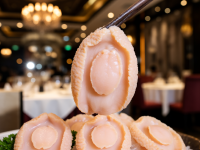 極品粉鮑，珍饈美饌的極致體驗