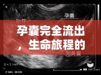 孕囊完全流出，生命旅程的溫柔終結(jié)
