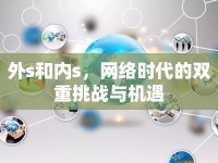 外s和內(nèi)s，網(wǎng)絡(luò)時代的雙重挑戰(zhàn)與機(jī)遇