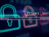數(shù)字時代下的信息洪流與個人隱私的挑戰(zhàn)