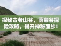 探秘古老山谷，蔭幽谷探險攻略，揭開神秘面紗！