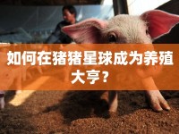 如何在豬豬星球成為養(yǎng)殖大亨？