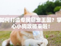 如何打造專屬萌寵王國？掌心小狗攻略來啦！
