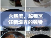 六燒流，解鎖烹飪新境界的獨(dú)特烹飪技巧