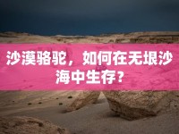 沙漠駱駝，如何在無垠沙海中生存？