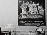 如何選購夢幻手游中的元音貍，打造你的專屬萌寵？