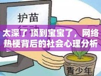 太深了 頂?shù)綄殞毩?，網(wǎng)絡(luò)熱梗背后的社會心理分析