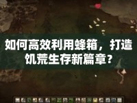 如何高效利用蜂箱，打造饑荒生存新篇章？