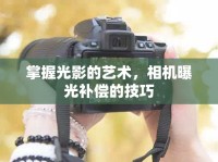 掌握光影的藝術，相機曝光補償?shù)募记? />									</div>
			</a>
			<div   id=