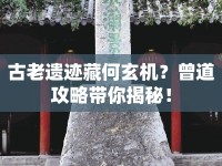 古老遺跡藏何玄機？曾道攻略帶你揭秘！