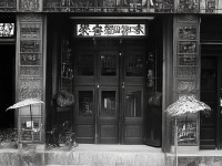 性五月天，音樂與情感的交織