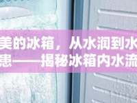 美的冰箱，從水潤到水患——揭秘冰箱內(nèi)水流出背后的真相