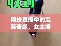 網(wǎng)絡直播中的溫馨奇緣，女主播與小香豬的奇妙邂逅